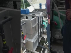 Desidratador automático de águas de aço inoxidável com pressão de parafuso de disco múltiplos